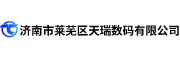 濟(jì)南市萊蕪區(qū)天瑞數(shù)碼有限公司